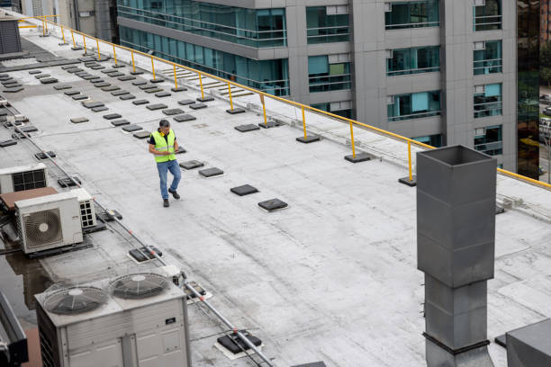 Best Cold Roofs  in Brilliant, OH